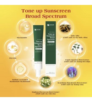 TONE UP - KEM CHỐNG NẮNG PHỔ RỘNG - SUNCREAM BROAD SPECTRUM HANMI COSMETIC SPF 50+ PA++++ Mã SP:91